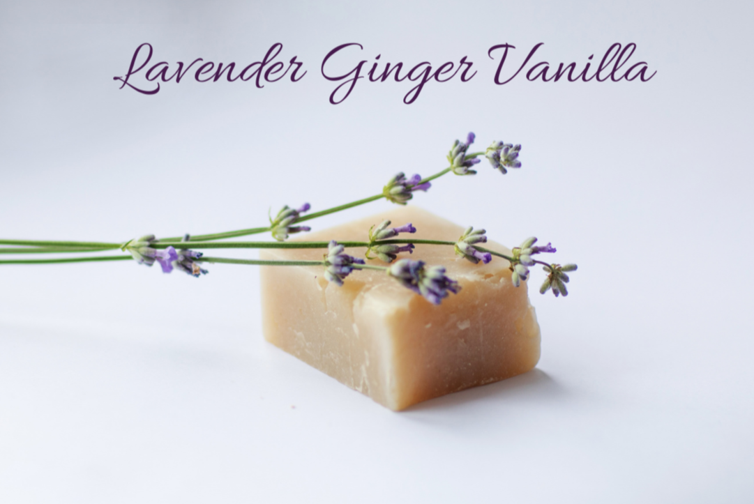 LIMITED - Lavender Ginger Vanilla Loofa Scrub